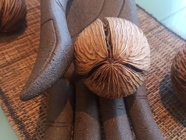 Красивый дизайн орех Пинг-Понг в деревянной руке